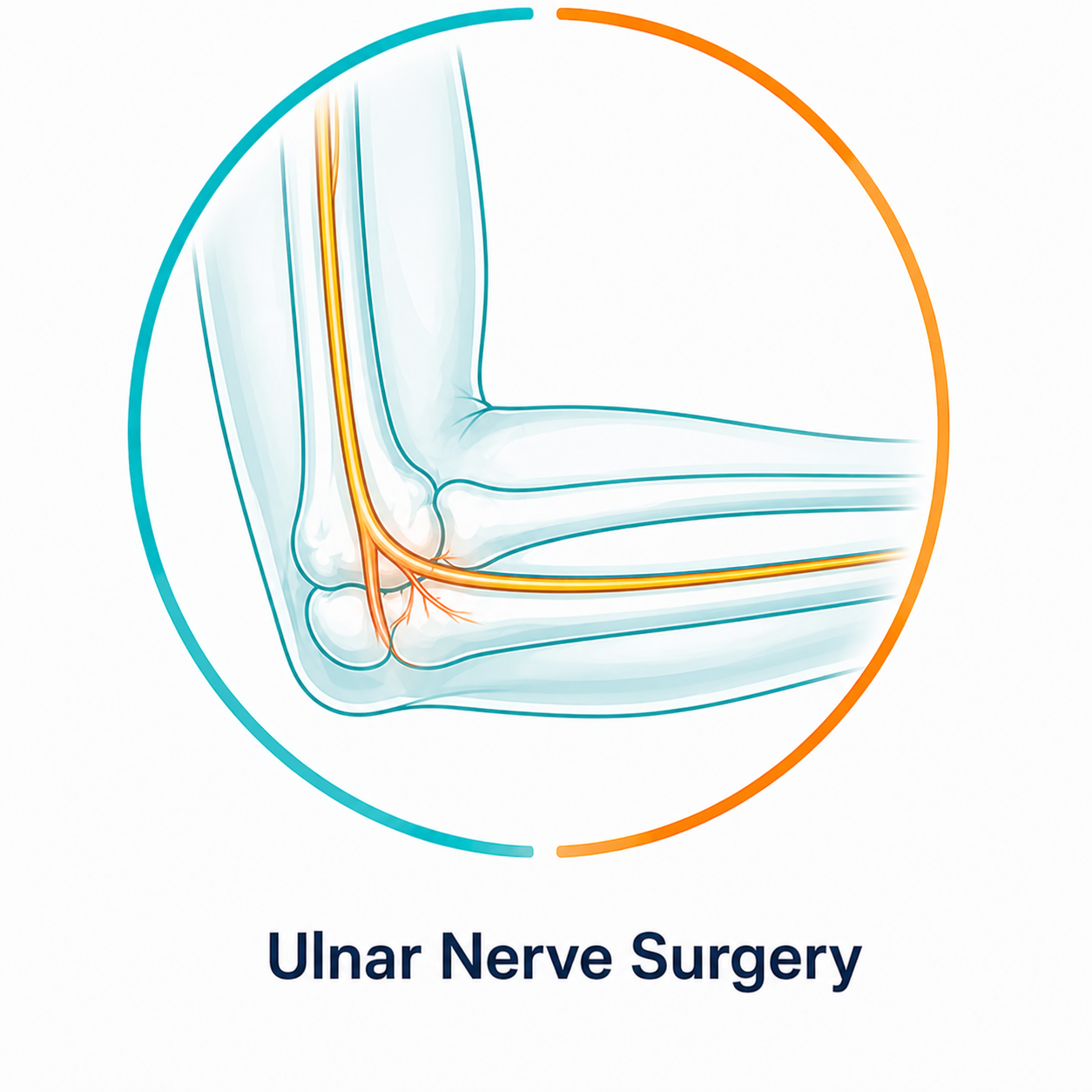 ulnar-nerve