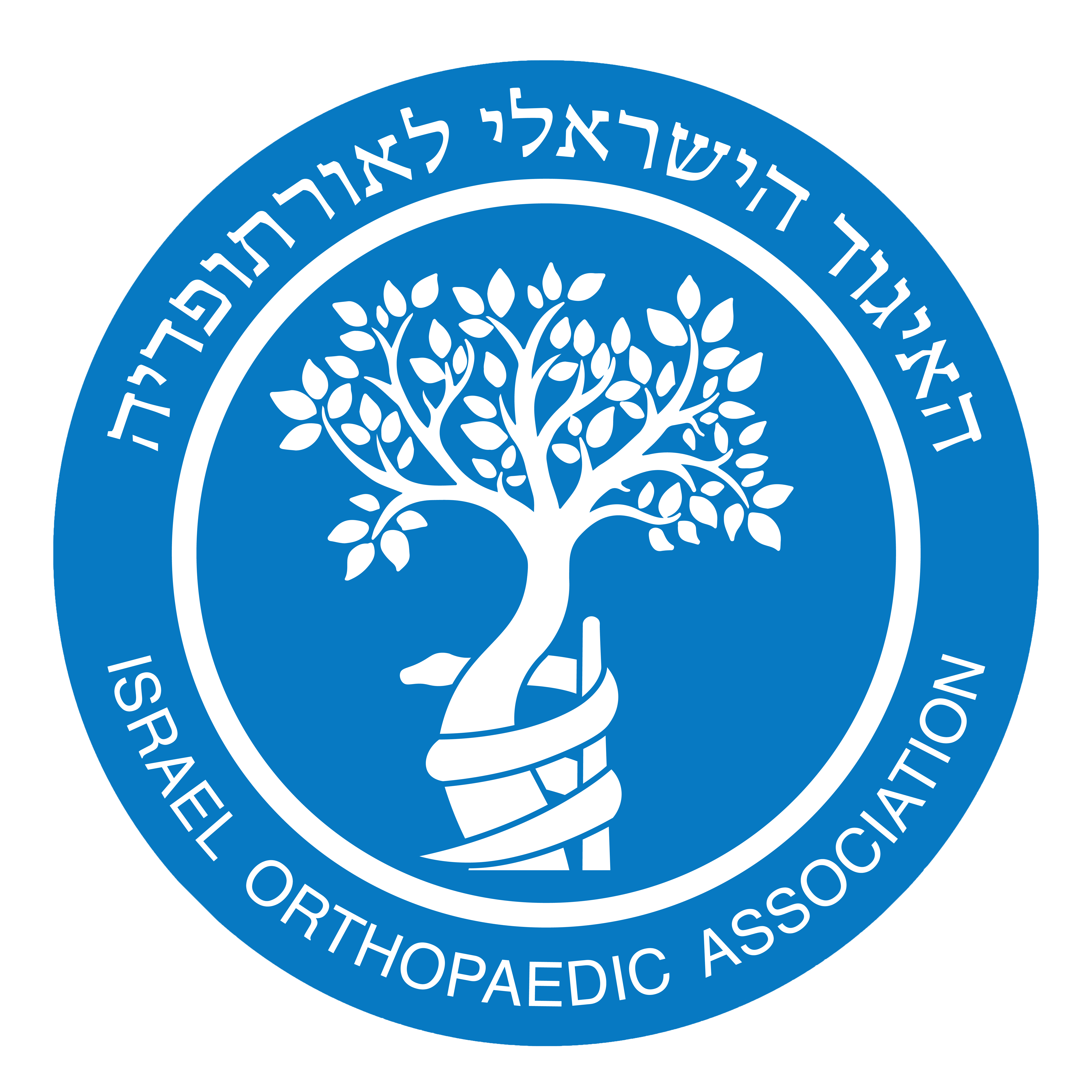 ortho logo